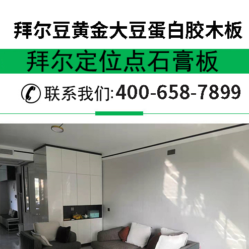 拜爾豆黃金大豆蛋白膠木板.jpg